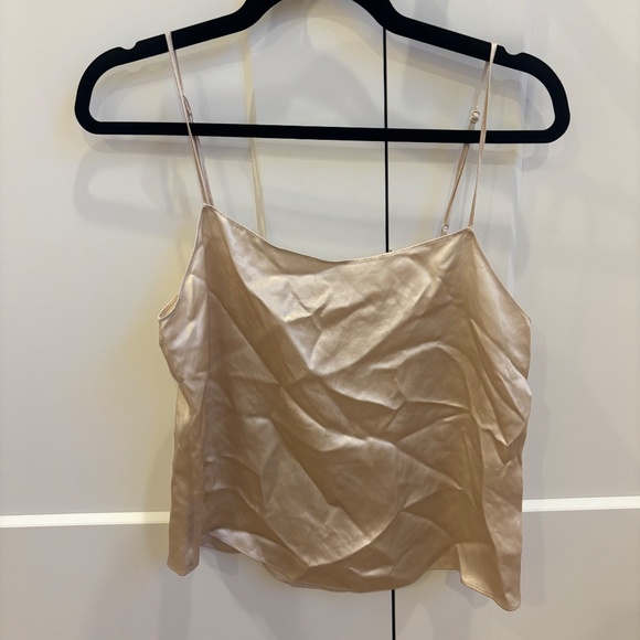 Aritizia Babaton Benji Camisole Denude - Picture 4 of 4